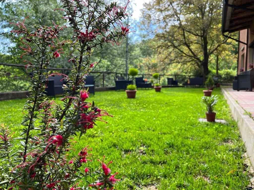 Agriturismo Tre Elle Acri 外观 照片